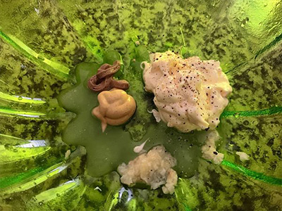 rs=w_600,cg_true-(1)